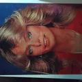 P38 FARRAH FAWCETT LOS ANGELES DE CHARLIE POSTER USADO VER FOTOS
