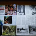 RECORTE alfonso de hohenlohe gina lollobrigida farrah fawcett jackie lane antonio el bailarin