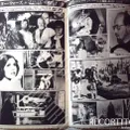 STAR WARS LA GUERRA DE LAS GALAXIAS 14979 JAPON FARRAH FAWCETT BROOKE SHIELDS